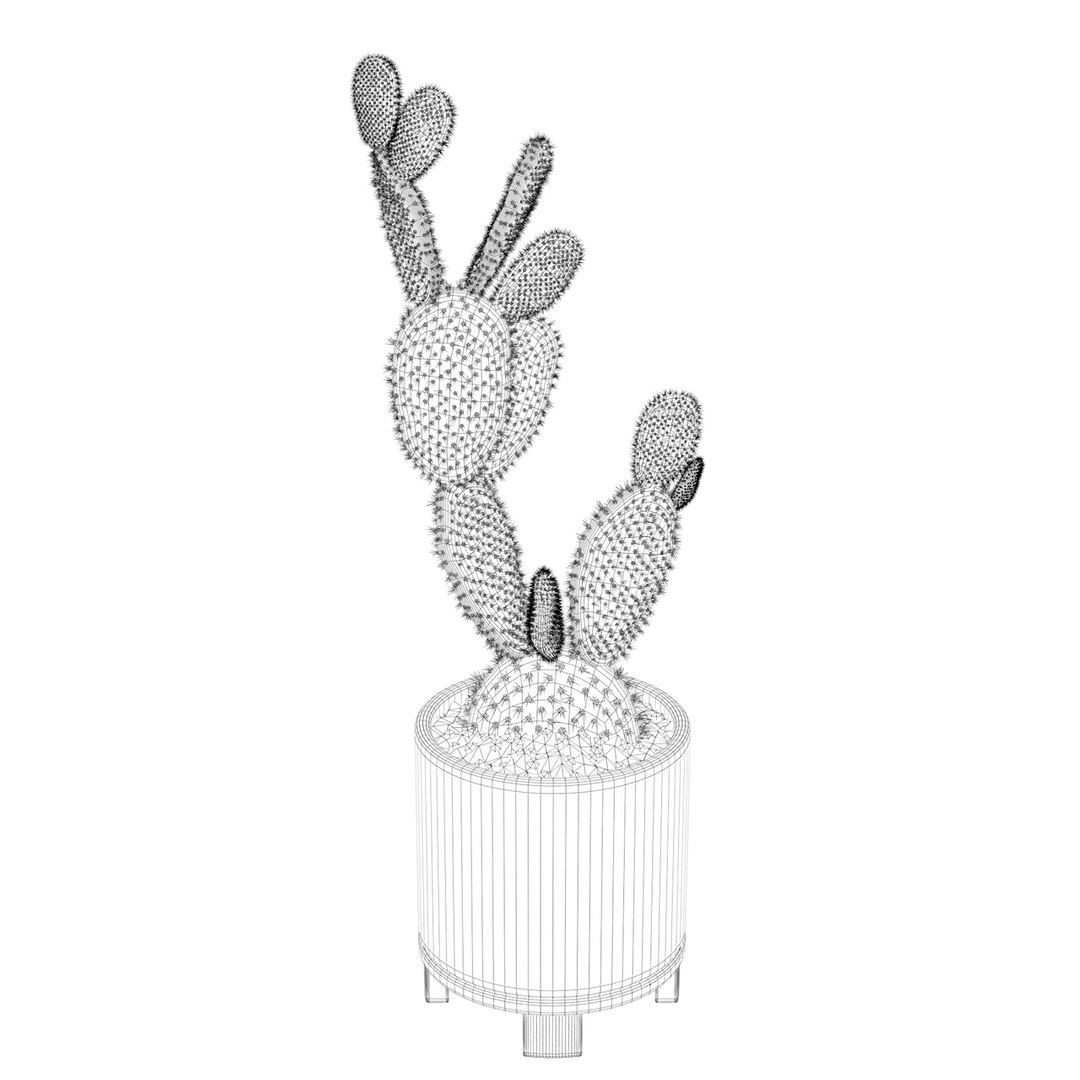 opuntia microdasys flower pot 3D model https://p.turbosquid.com/ts-thumb/3s/qokRWw/3fYZjZHx/opuntiamicrodasys_03/jpg/1588591088/1920x1080/fit_q87/321e5e63dbda9918edafe12e50efa36c34724d3a/opuntiamicrodasys_03.jpg