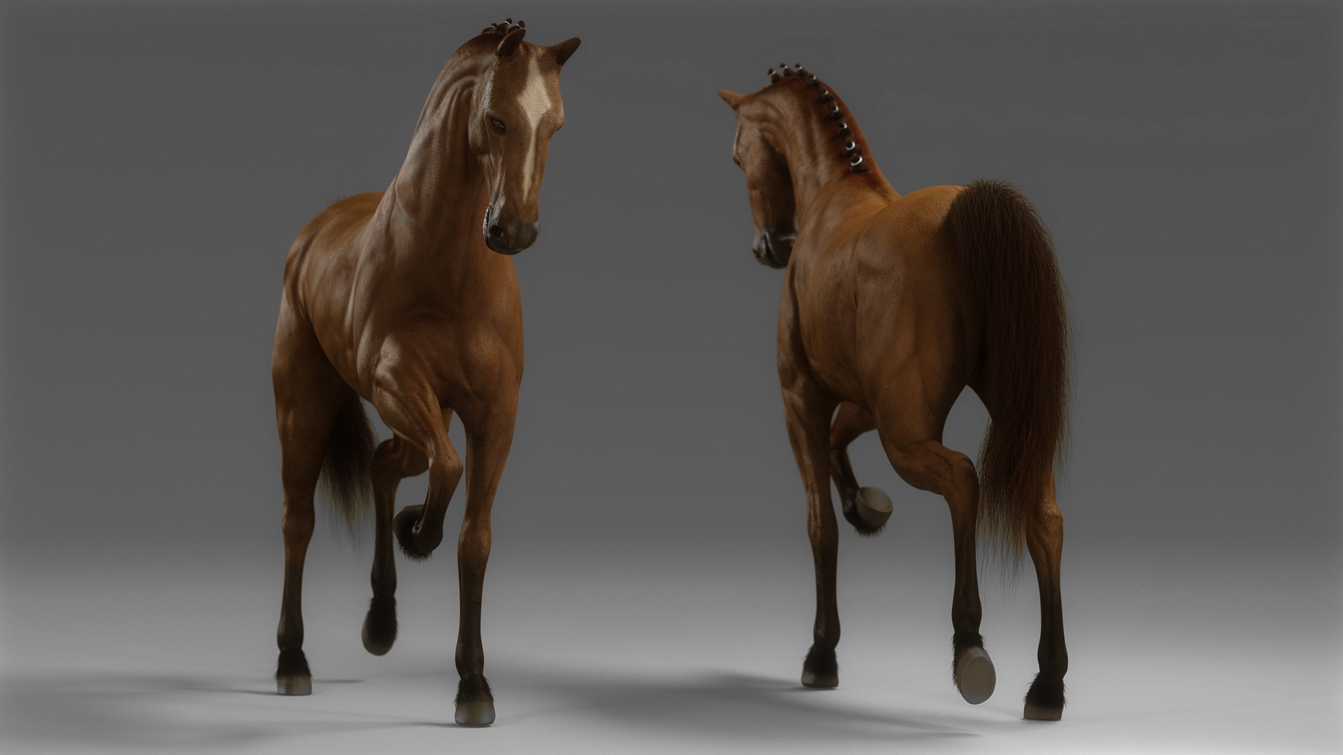 3D model Male Equestrian Animated HQ https://p.turbosquid.com/ts-thumb/3t/4Jkh9H/uy/image_21/jpg/1721377108/1920x1080/fit_q87/b9a9b6da344ce2488686213d2a2183352890a163/image_21.jpg