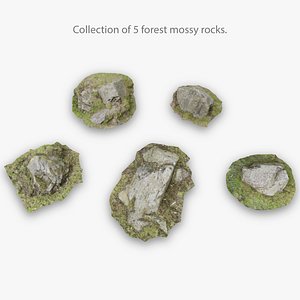 5 moss rocks 3D