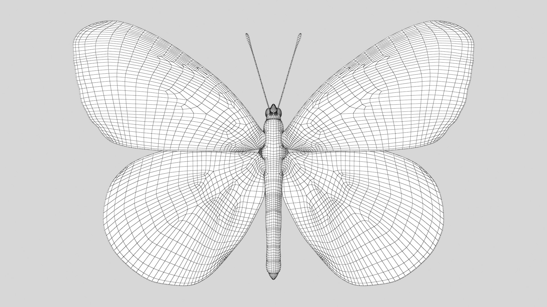 Butterfly Collection 02 3D model https://p.turbosquid.com/ts-thumb/3t/RrvpcO/4M/oraangetipa_r1w/png/1672719568/1920x1080/fit_q87/b54f28f1916b0158915beb661466c368d4f77c20/oraangetipa_r1w.jpg