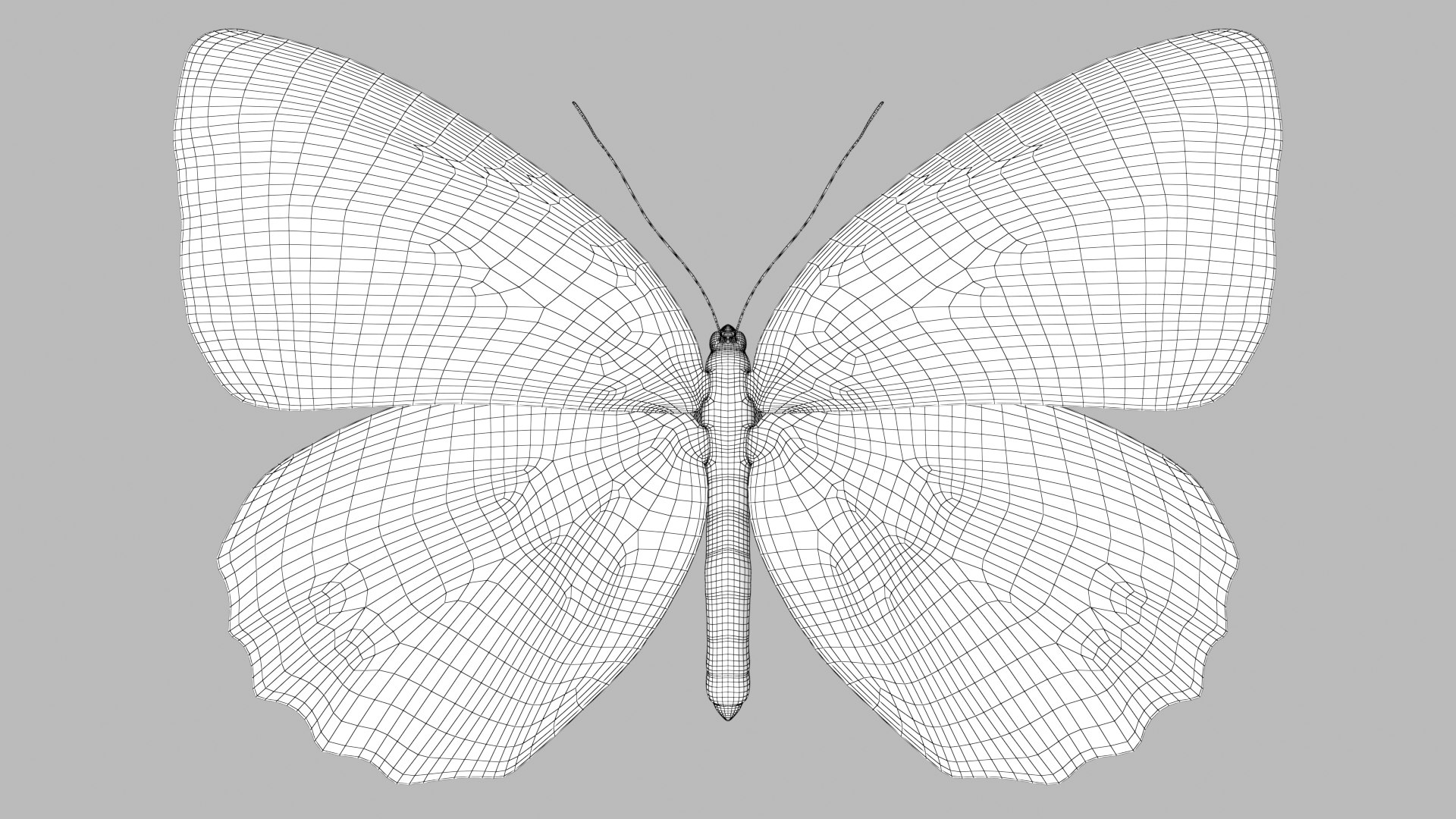 Butterfly Collection 02 3D model https://p.turbosquid.com/ts-thumb/3t/RrvpcO/7h/marbledwhite_r1w/png/1672719512/1920x1080/fit_q87/219cdf25b0ee67c6ae1c6ae47eab1413418ff6ce/marbledwhite_r1w.jpg