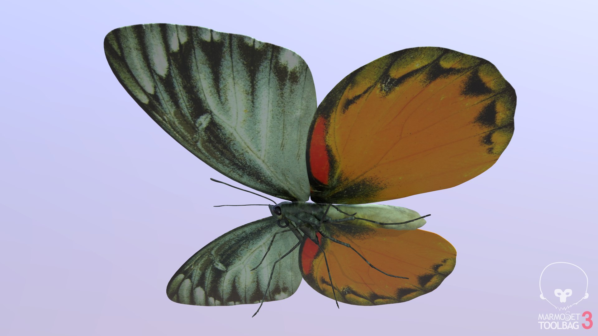 Butterfly Collection 02 3D model https://p.turbosquid.com/ts-thumb/3t/RrvpcO/S1/screenshot1020/png/1672719078/1920x1080/fit_q87/7517234f0ac242935457020adf3221dfdcc123d0/screenshot1020.jpg