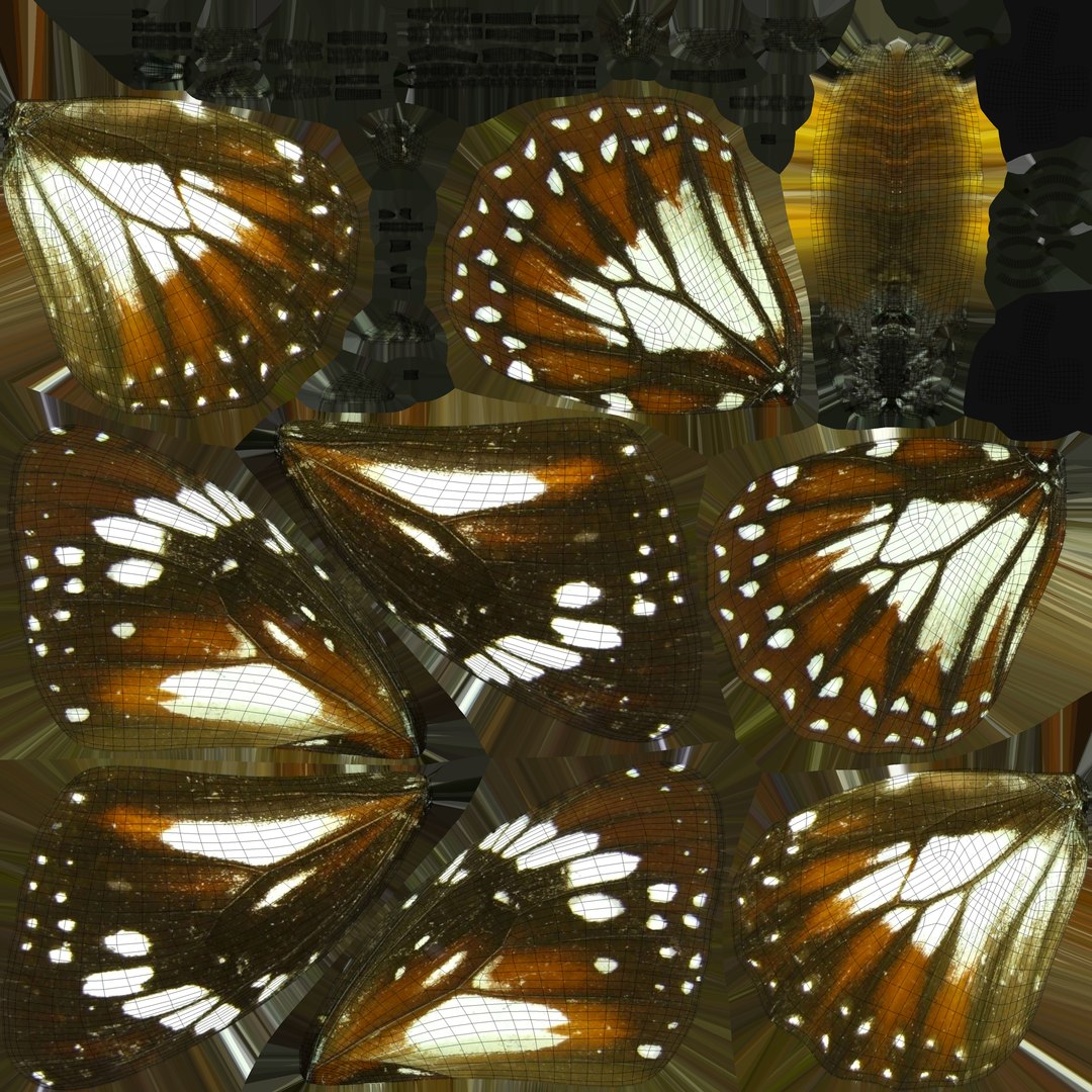 Butterfly Collection 02 3D model https://p.turbosquid.com/ts-thumb/3t/RrvpcO/bg/malay_uv/jpg/1672719463/1920x1080/fit_q87/80e641f517dbb55adb6b06babcb686745af925ac/malay_uv.jpg