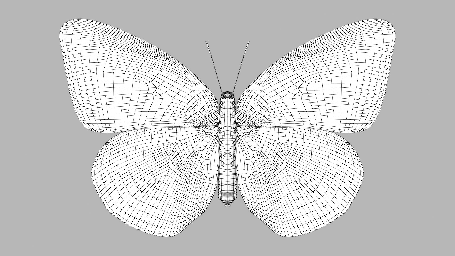 Butterfly Collection 02 3D model https://p.turbosquid.com/ts-thumb/3t/RrvpcO/et/cloudedyellow_r1w/png/1672719322/1920x1080/fit_q87/06413b2d8fa1f82d775dd768699770f56e3ec356/cloudedyellow_r1w.jpg