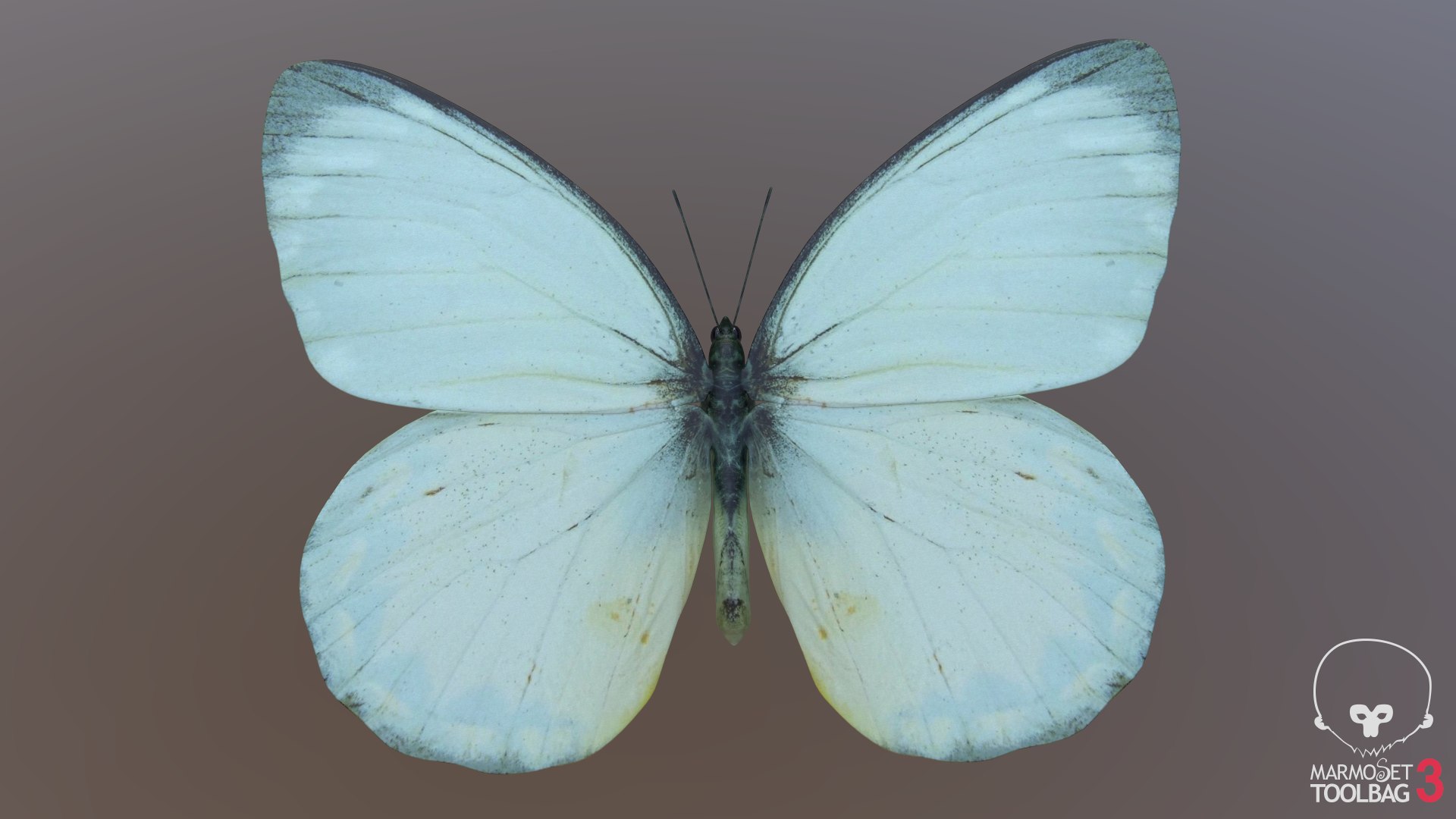 Butterfly Collection 02 3D model https://p.turbosquid.com/ts-thumb/3t/RrvpcO/jf/screenshot1019/png/1672719078/1920x1080/fit_q87/698684ea0e187d13fb7a752a580ed8595b20a359/screenshot1019.jpg
