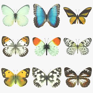 Butterfly Collection 02