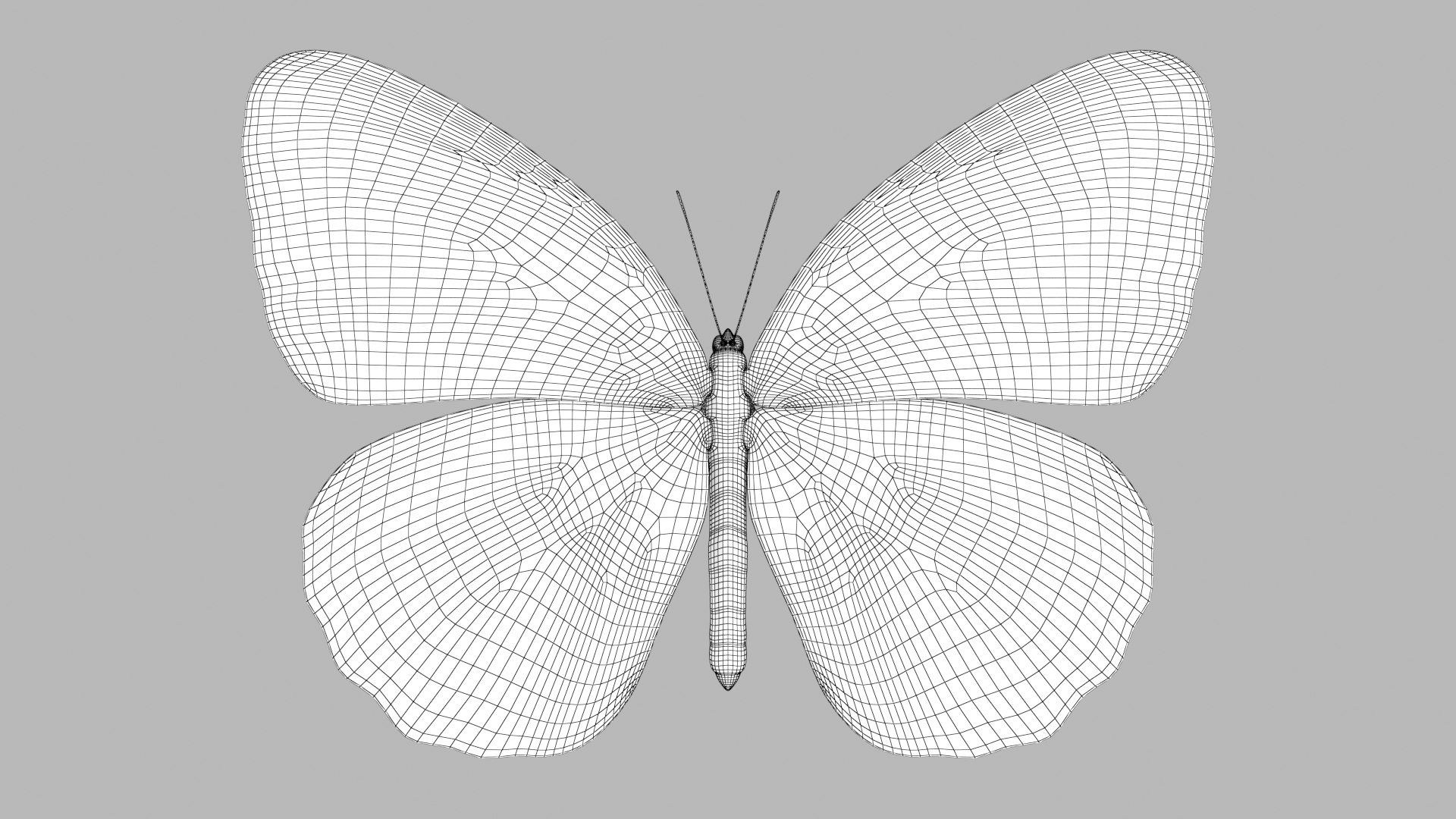 Butterfly Collection 02 3D model https://p.turbosquid.com/ts-thumb/3t/RrvpcO/zL/malay_r1w/png/1672719455/1920x1080/fit_q87/509de5bd0ed0e6bf0a3286bf0ba7d3329156aabc/malay_r1w.jpg