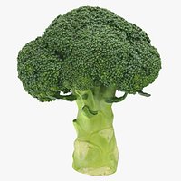 Broccoli 3 - Raw Scan