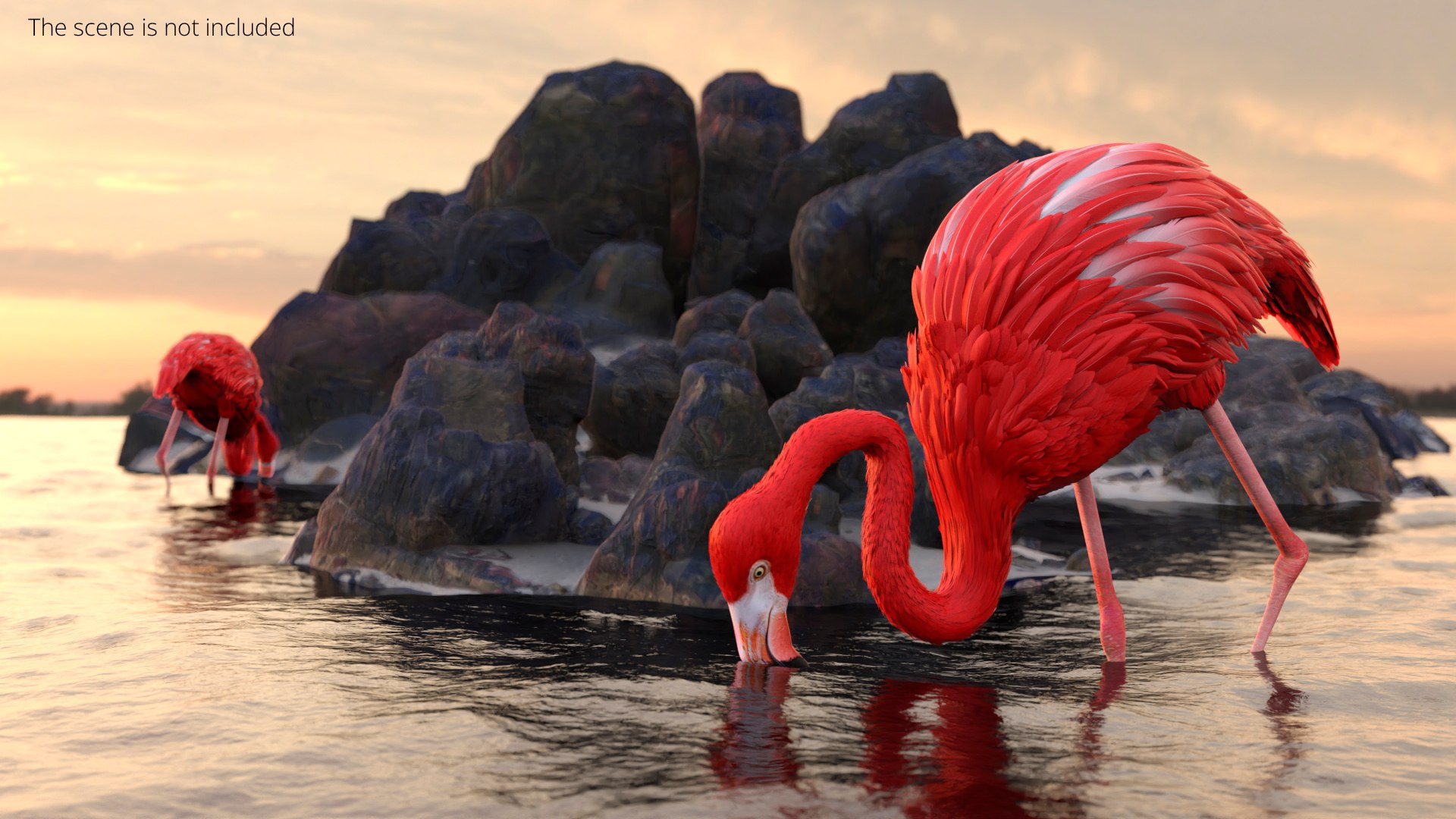 3D Exotic Bird Red Flamingo Rigged for Cinema 4D model https://p.turbosquid.com/ts-thumb/3t/g9NjTM/Ey/exotic_bird_red_flamingo_rigged_002/jpg/1759846088/1920x1080/fit_q87/5944c5c0475759338b57565a81983fbb5c937cfd/exotic_bird_red_flamingo_rigged_002.jpg