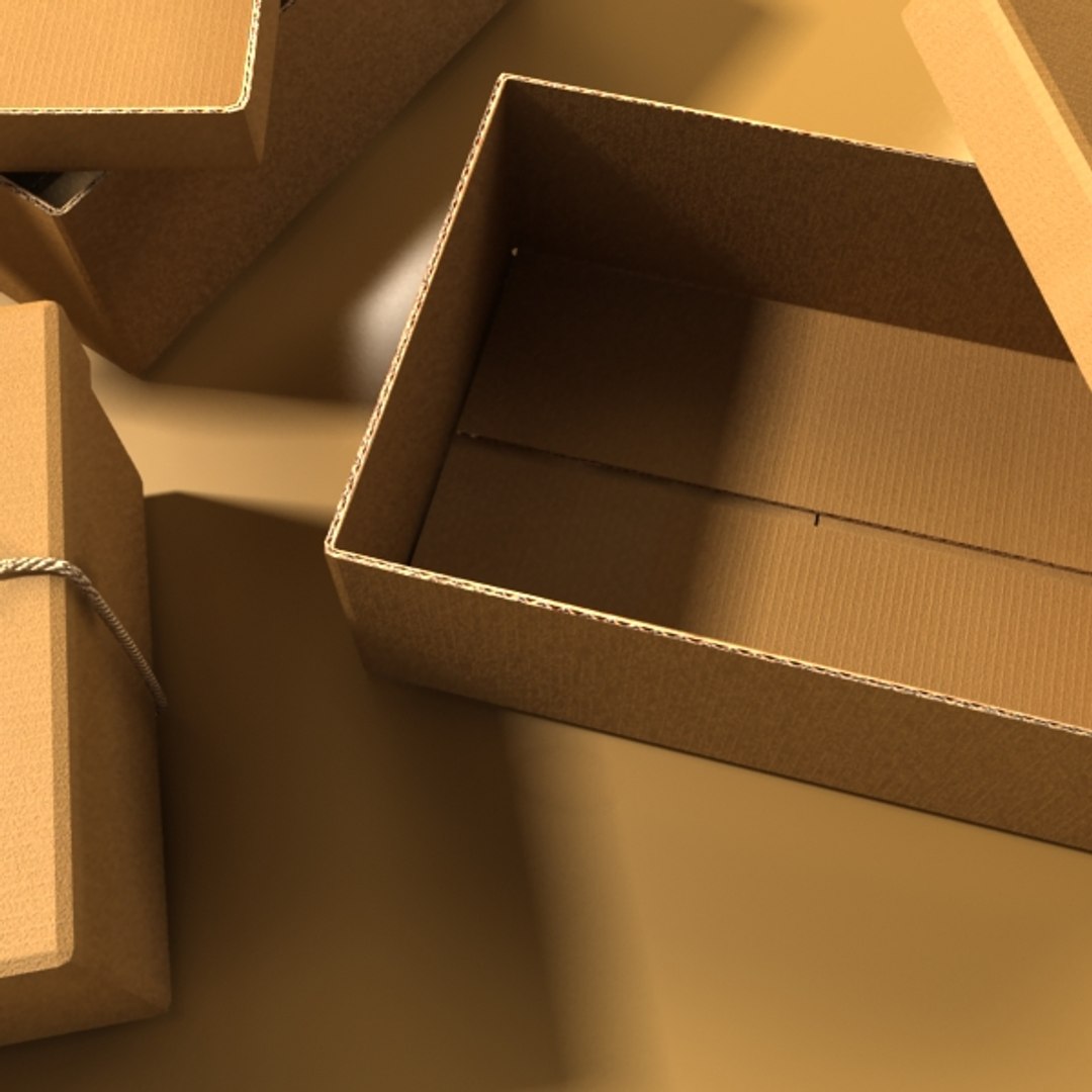 photorealistic cardboard box rope 3d max
