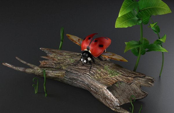 Insects Ladybugs Lady Flowers 3d Model Turbosquid 1636950