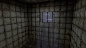 Insane Asylum Padded Cell