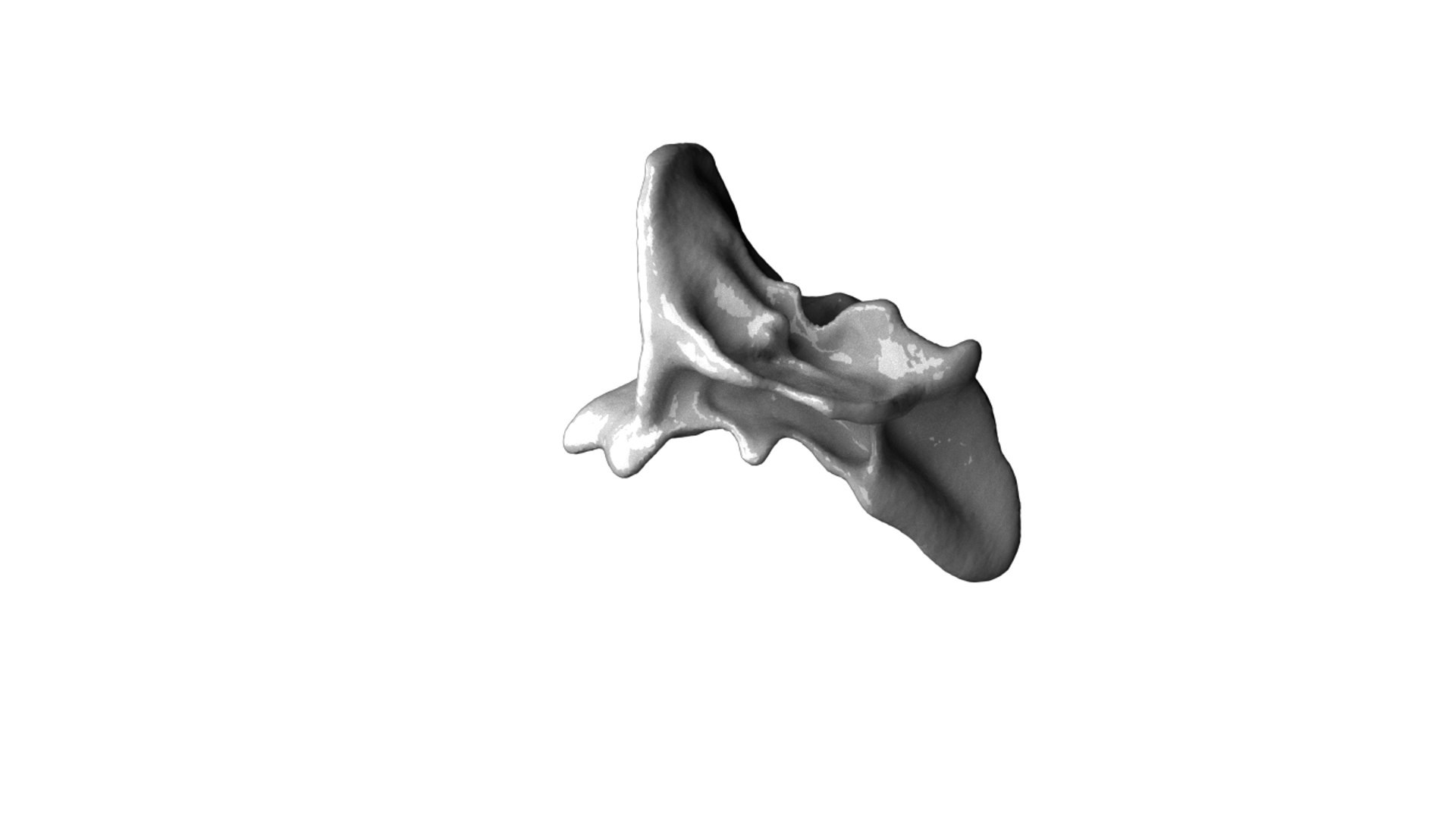 Liquid slash Animated abc model https://p.turbosquid.com/ts-thumb/3u/7rWMpI/XZ/milk01/png/1671390341/1920x1080/fit_q87/8acf557e4baefd302f6164f3880e638405f0bd6f/milk01.jpg