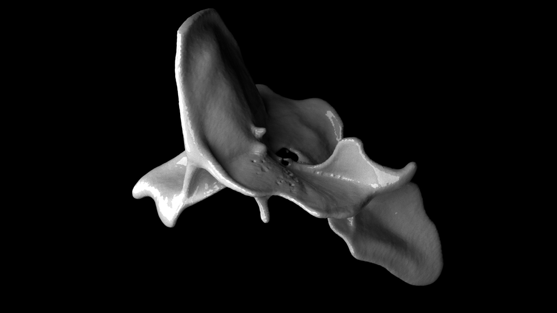 Liquid slash Animated abc model https://p.turbosquid.com/ts-thumb/3u/7rWMpI/jO/milk02/jpg/1671390339/1920x1080/fit_q87/7ee13ca7c742db176c5d15b252e0d271e075e6ef/milk02.jpg