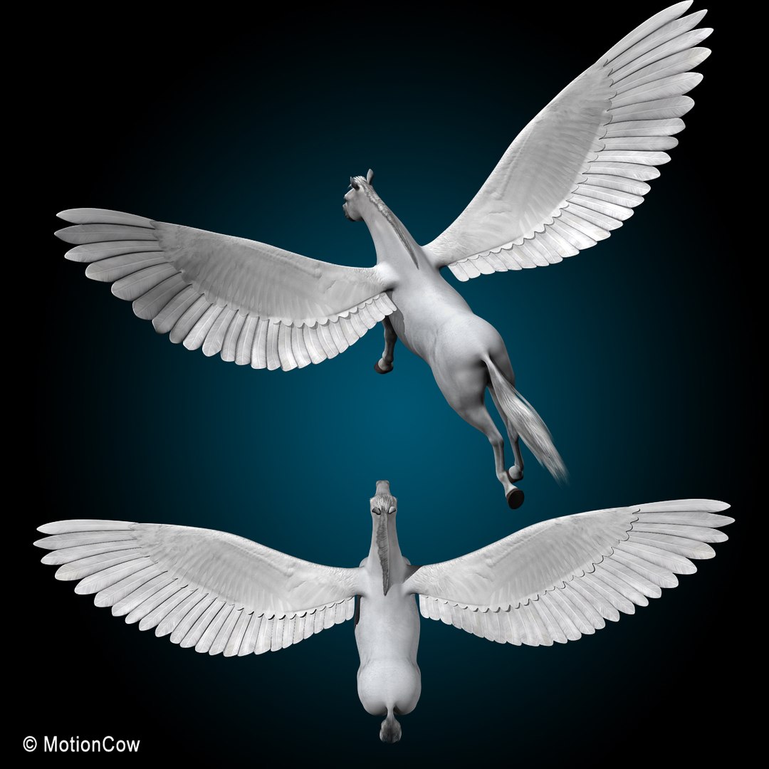 looped flying galloping 3d model https://p.turbosquid.com/ts-thumb/3u/7y0cPw/Io6FZJx6/pegasus_n/jpg/1328098088/1920x1080/fit_q87/7c0bca7a34ad1326b8344ed6276e7db4d4898bb3/pegasus_n.jpg