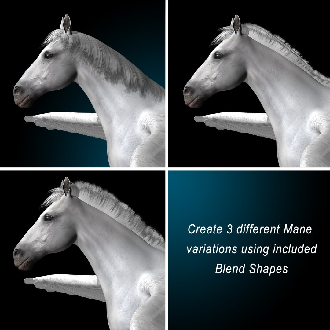 looped flying galloping 3d model https://p.turbosquid.com/ts-thumb/3u/7y0cPw/PRyXDU0k/pegasus_rr/jpg/1328098088/1920x1080/fit_q87/96aa3c1526e3fb09884e29a733194998533328f3/pegasus_rr.jpg