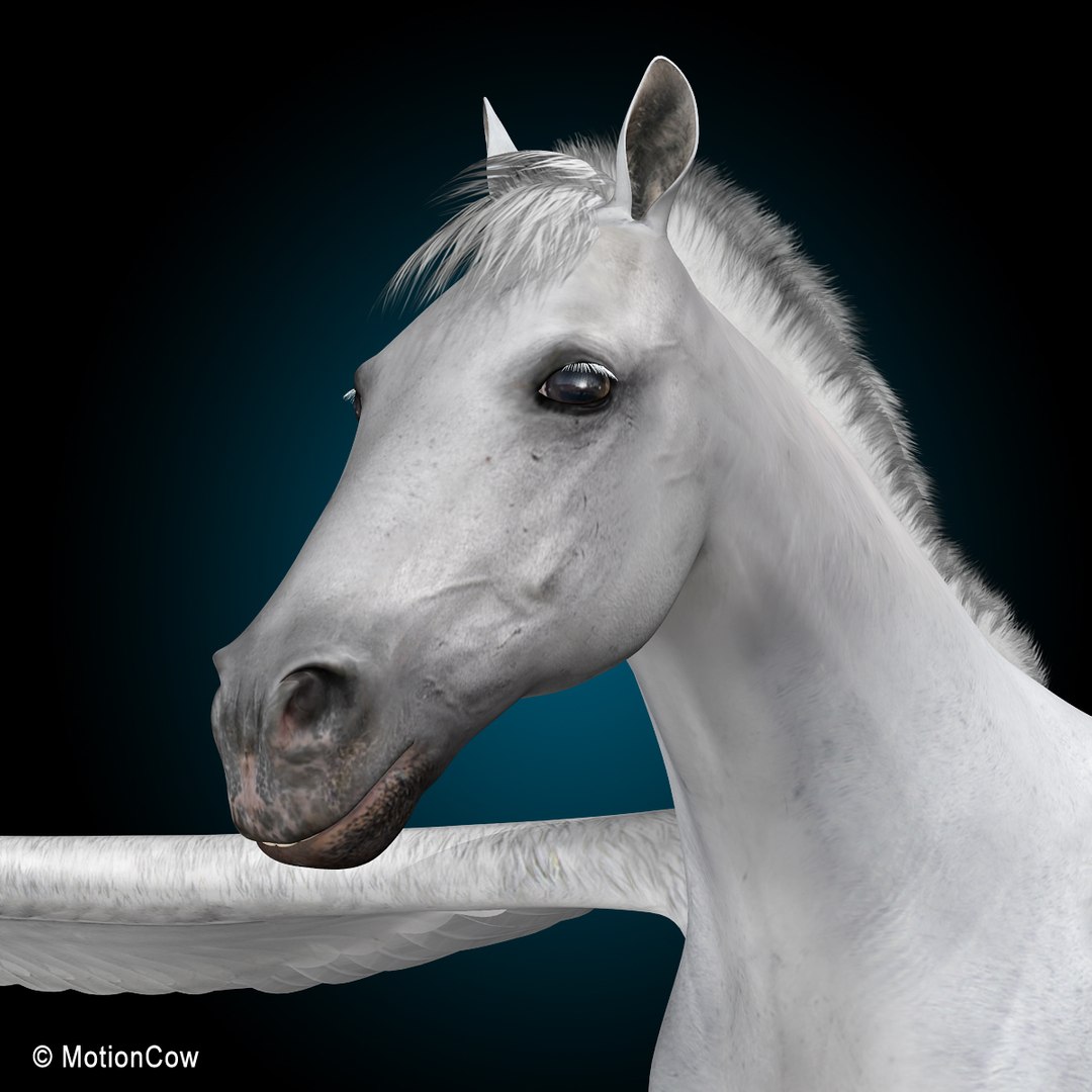 looped flying galloping 3d model https://p.turbosquid.com/ts-thumb/3u/7y0cPw/ZKw5YVzW/pegasus_q/jpg/1328098088/1920x1080/fit_q87/88ef66fd9fa246fc76edba656979378ee79472cc/pegasus_q.jpg