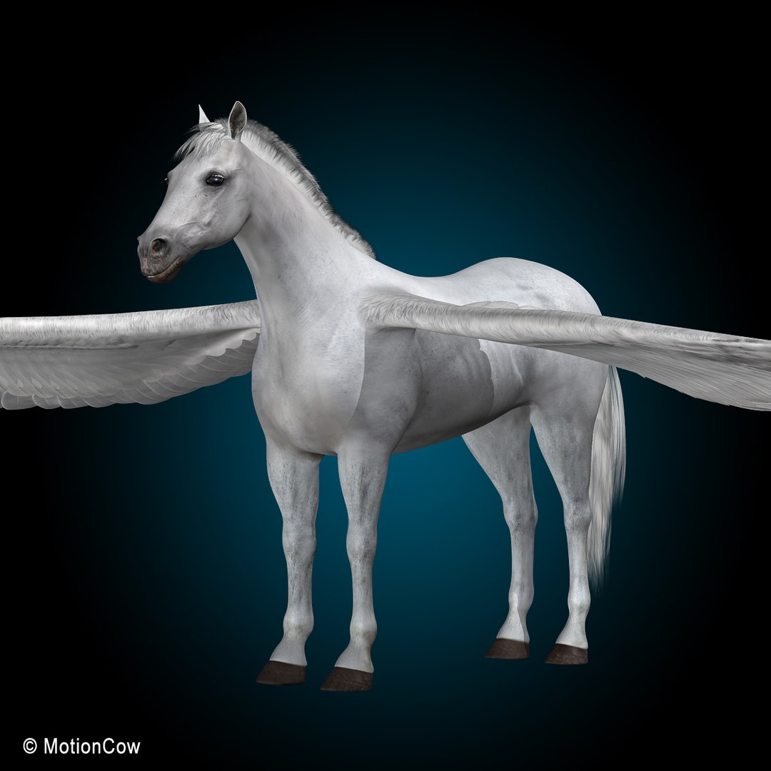 looped flying galloping 3d model https://p.turbosquid.com/ts-thumb/3u/7y0cPw/ansrBgLO/pegasus_i/jpg/1328098088/1920x1080/fit_q87/ec44956fcb77539f953d331401031b9f3903fd02/pegasus_i.jpg