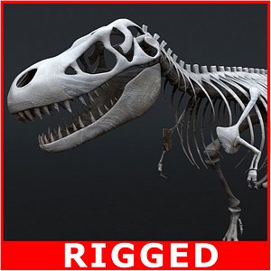 3d model rigged tyrannosaurus rex skeleton bones