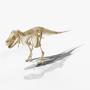 Tyrannosaurus Rex Skeleton - Rigged PBR