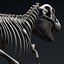 3d model rigged tyrannosaurus rex skeleton bones