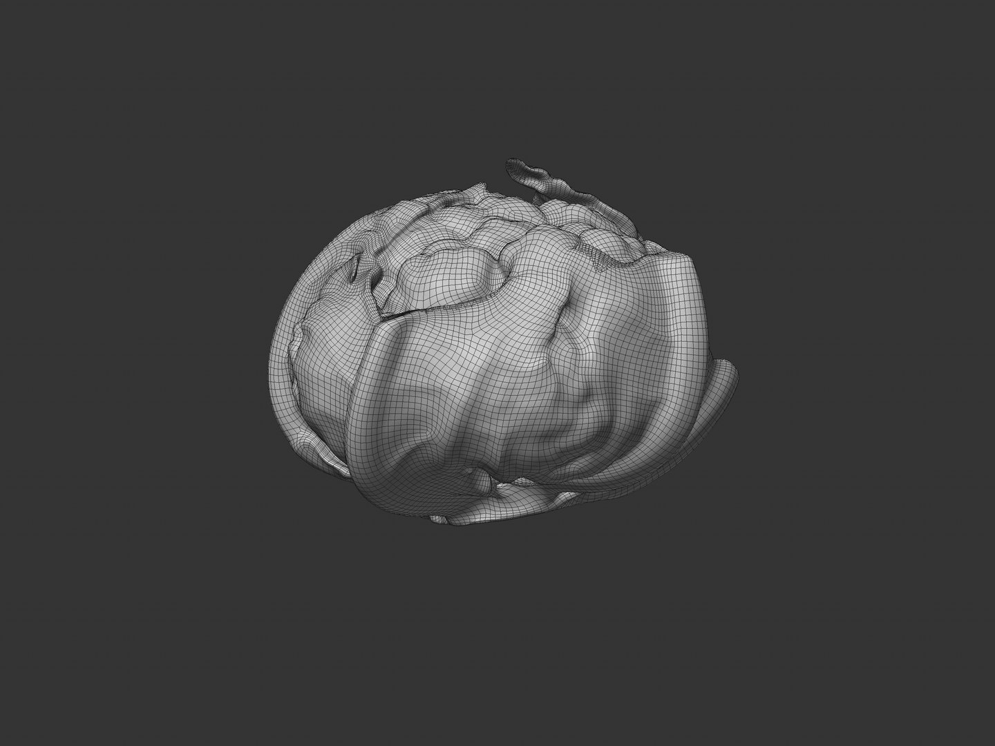 3D Cauliflower https://p.turbosquid.com/ts-thumb/3u/IVXgvm/YA/photoscan_wireframepreview_0160/jpg/1731232840/1920x1080/fit_q87/7e62020085e7776a8790fbde6fb14deff3a1caa4/photoscan_wireframepreview_0160.jpg