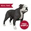 sample english bulldog real-time 3D model