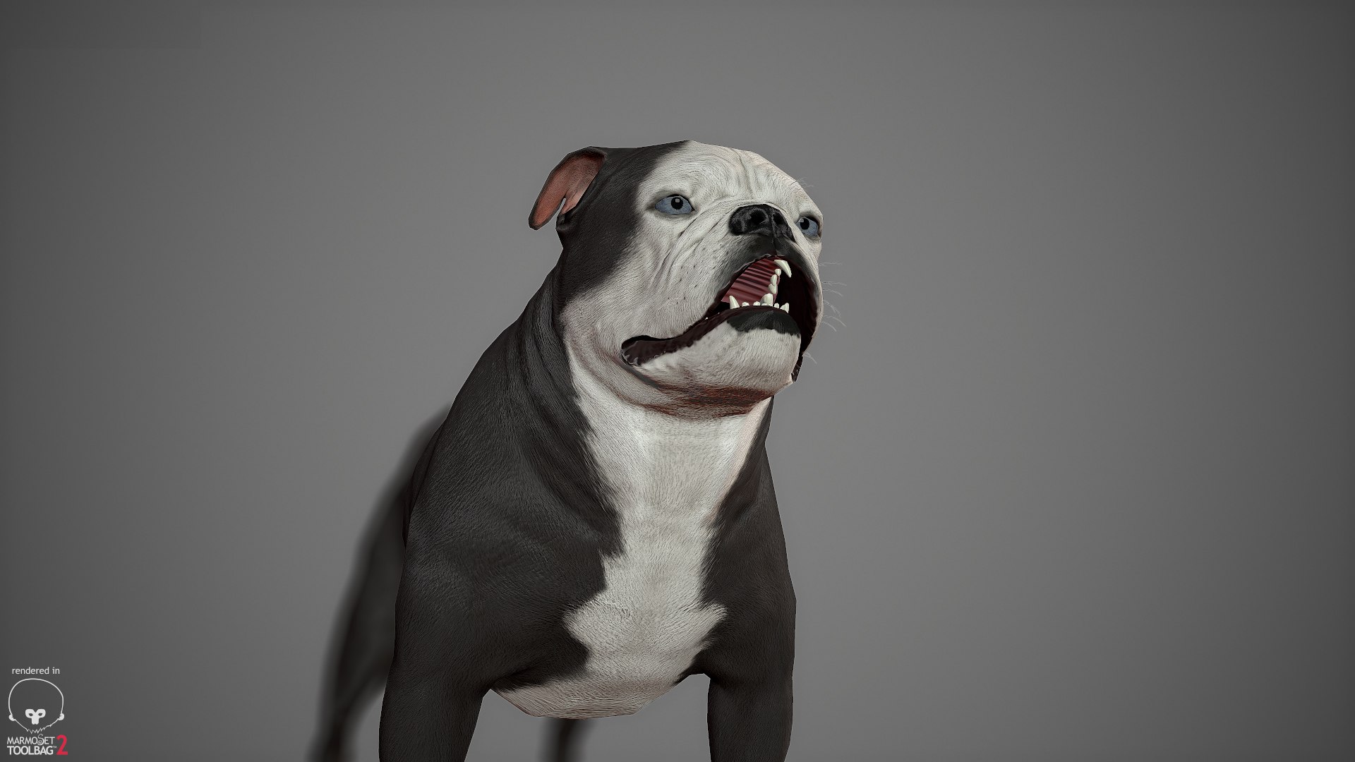 sample english bulldog real-time 3D model https://p.turbosquid.com/ts-thumb/3u/Q7i3GW/5FqLGk6Z/englishbulldog_by_alexlashko_marmoset_20/jpg/1494306976/1920x1080/fit_q87/0514998983254f489bdcf754d8613e712d36bb94/englishbulldog_by_alexlashko_marmoset_20.jpg