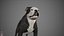 sample english bulldog real-time 3D model