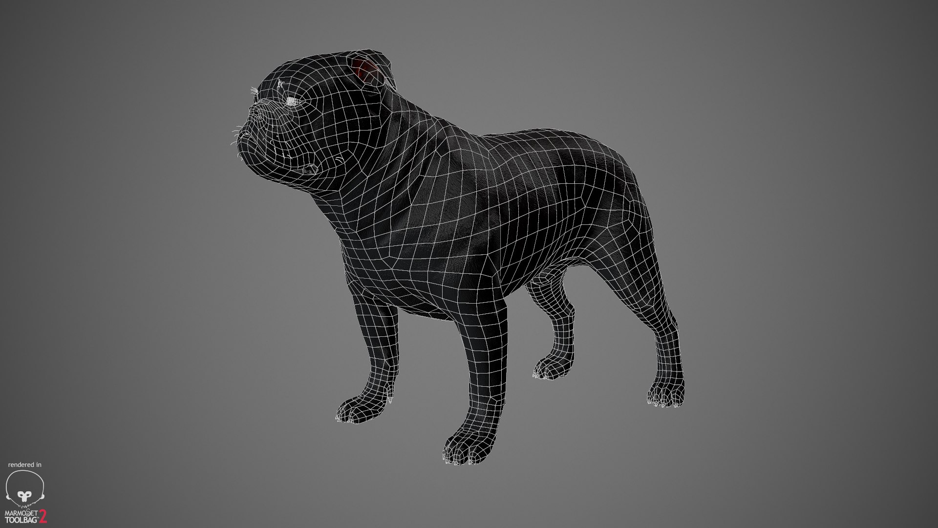 sample english bulldog real-time 3D model https://p.turbosquid.com/ts-thumb/3u/Q7i3GW/7MNQbhTg/englishbulldog_by_alexlashko_wireframe_01/jpg/1494307039/1920x1080/fit_q87/200a4a443b779eeafc0b971eb59c762d04f52151/englishbulldog_by_alexlashko_wireframe_01.jpg