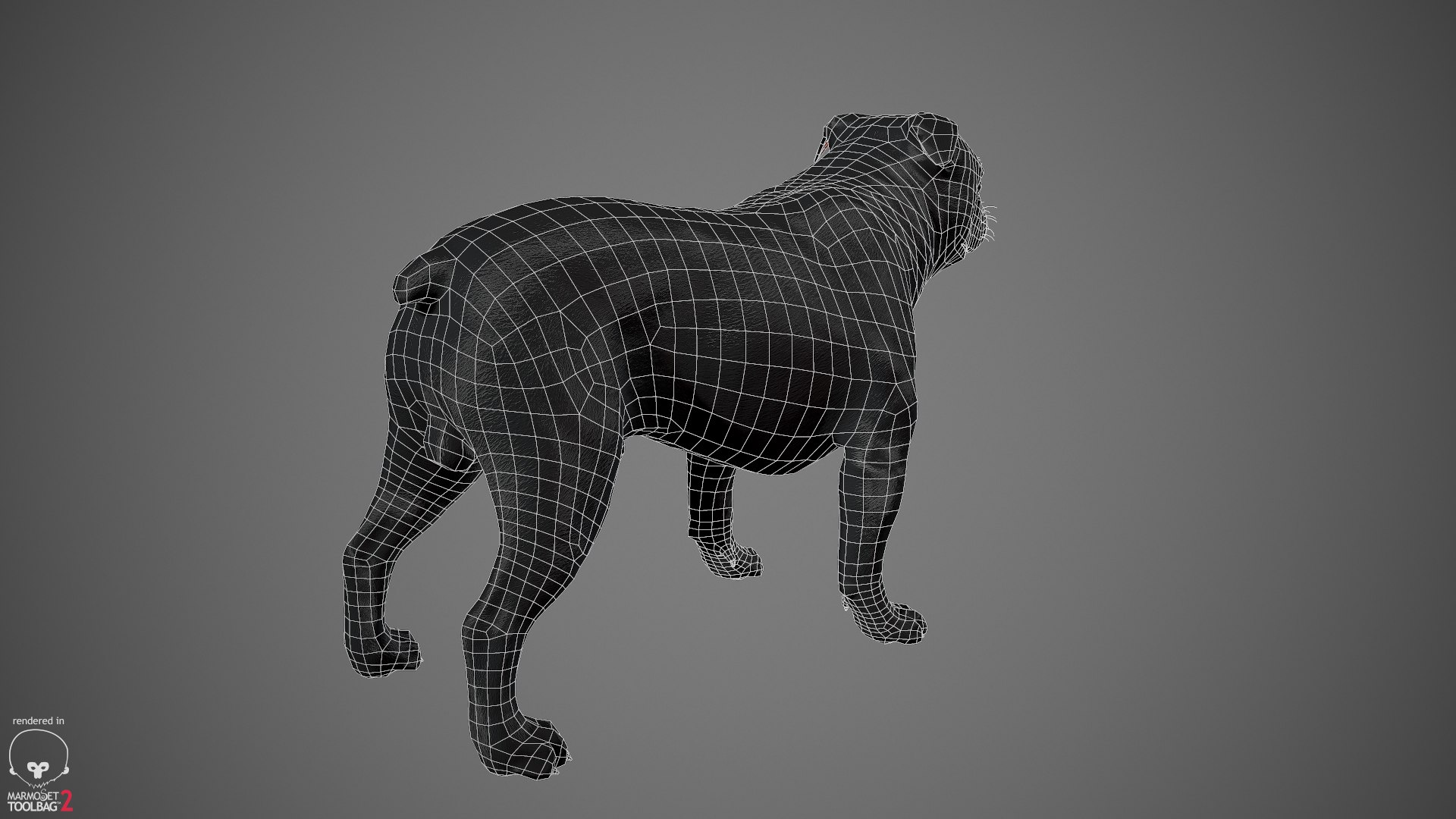 sample english bulldog real-time 3D model https://p.turbosquid.com/ts-thumb/3u/Q7i3GW/GZbSUskI/englishbulldog_by_alexlashko_wireframe_02/jpg/1494307039/1920x1080/fit_q87/2a2b49e6da14e2c50060e3cb037bbe9e7e04ed70/englishbulldog_by_alexlashko_wireframe_02.jpg