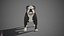 sample english bulldog real-time 3D model
