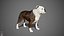 sample english bulldog real-time 3D model