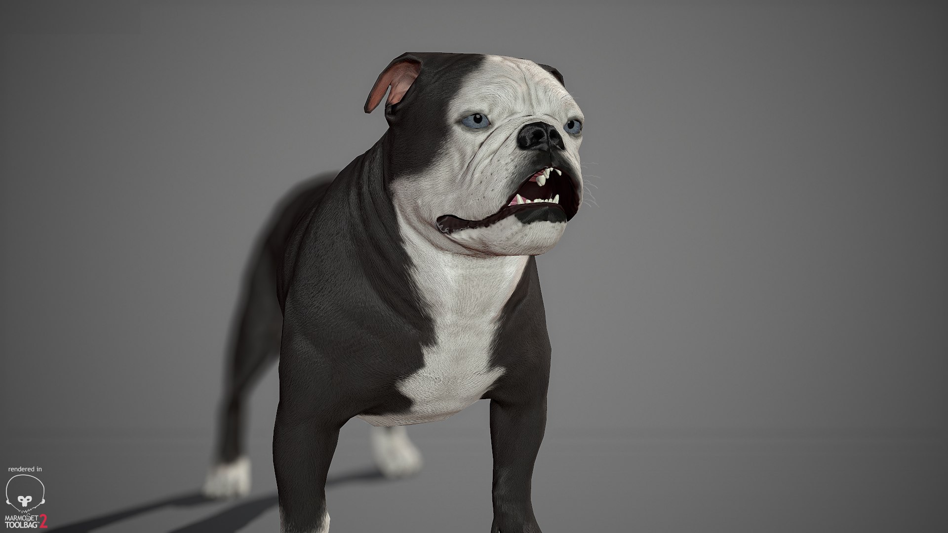 sample english bulldog real-time 3D model https://p.turbosquid.com/ts-thumb/3u/Q7i3GW/U3fU5mnw/englishbulldog_by_alexlashko_marmoset_19/jpg/1494306976/1920x1080/fit_q87/36a5e45acbc4131b7816e0e57a1dbf697887b277/englishbulldog_by_alexlashko_marmoset_19.jpg
