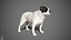 sample english bulldog real-time 3D model