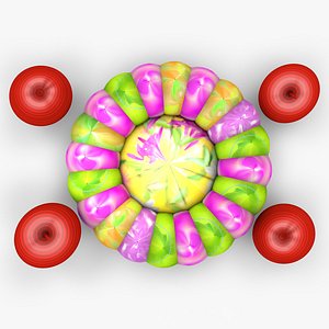 FRUITY FLORAL 3D model