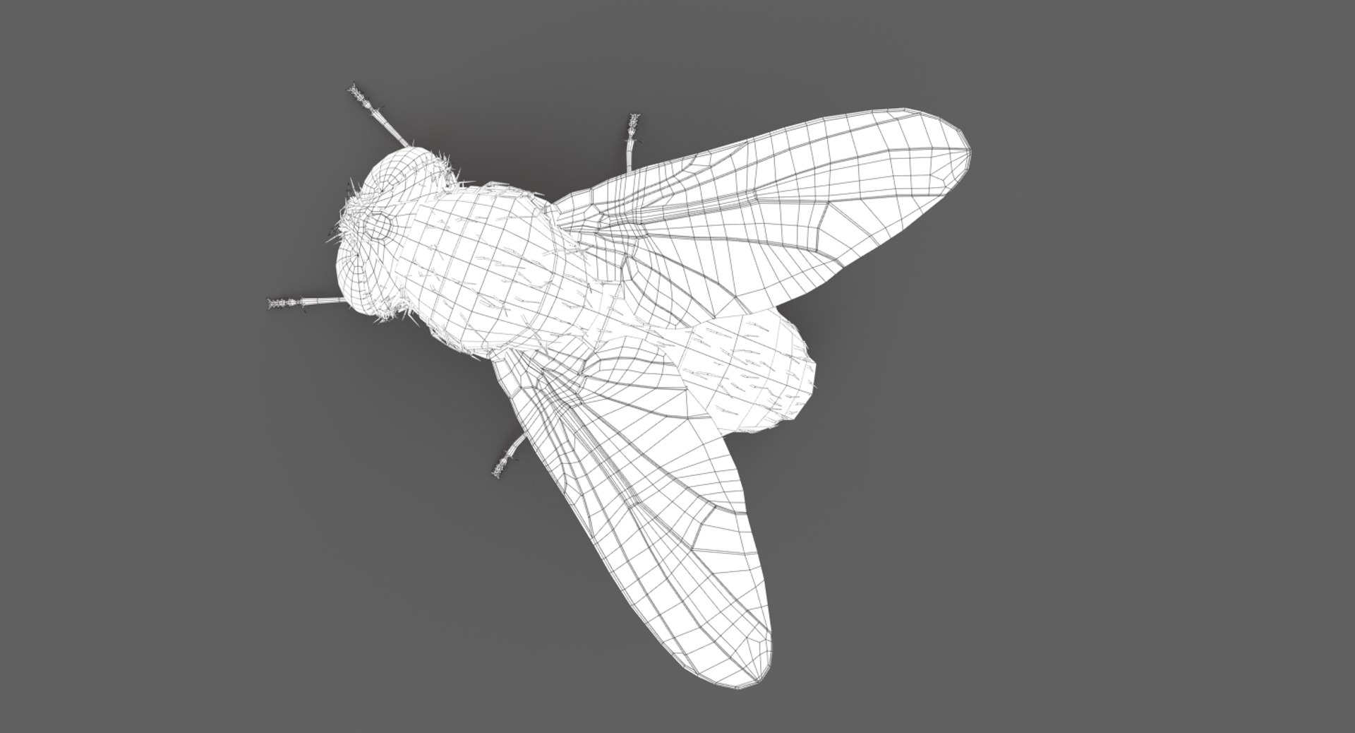 3D model housefly rigged animations 2 https://p.turbosquid.com/ts-thumb/3u/R5pfSB/RbQ5qAAQ/wire04/jpg/1541215957/1920x1080/fit_q87/98fa968ea6edad26a58c4802d1435a69bbbad56d/wire04.jpg