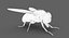3D model housefly rigged animations 2