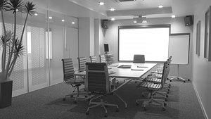 3D conference large meeting