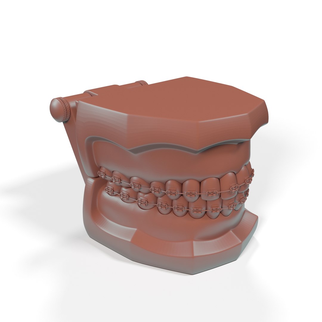 Ligature Braces on Teeth Model for 3D Print 3D model for medical visualization, anatomy illustration, educational content, and scientific rendering