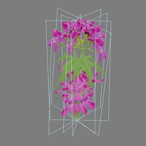 3d model pc ps2
