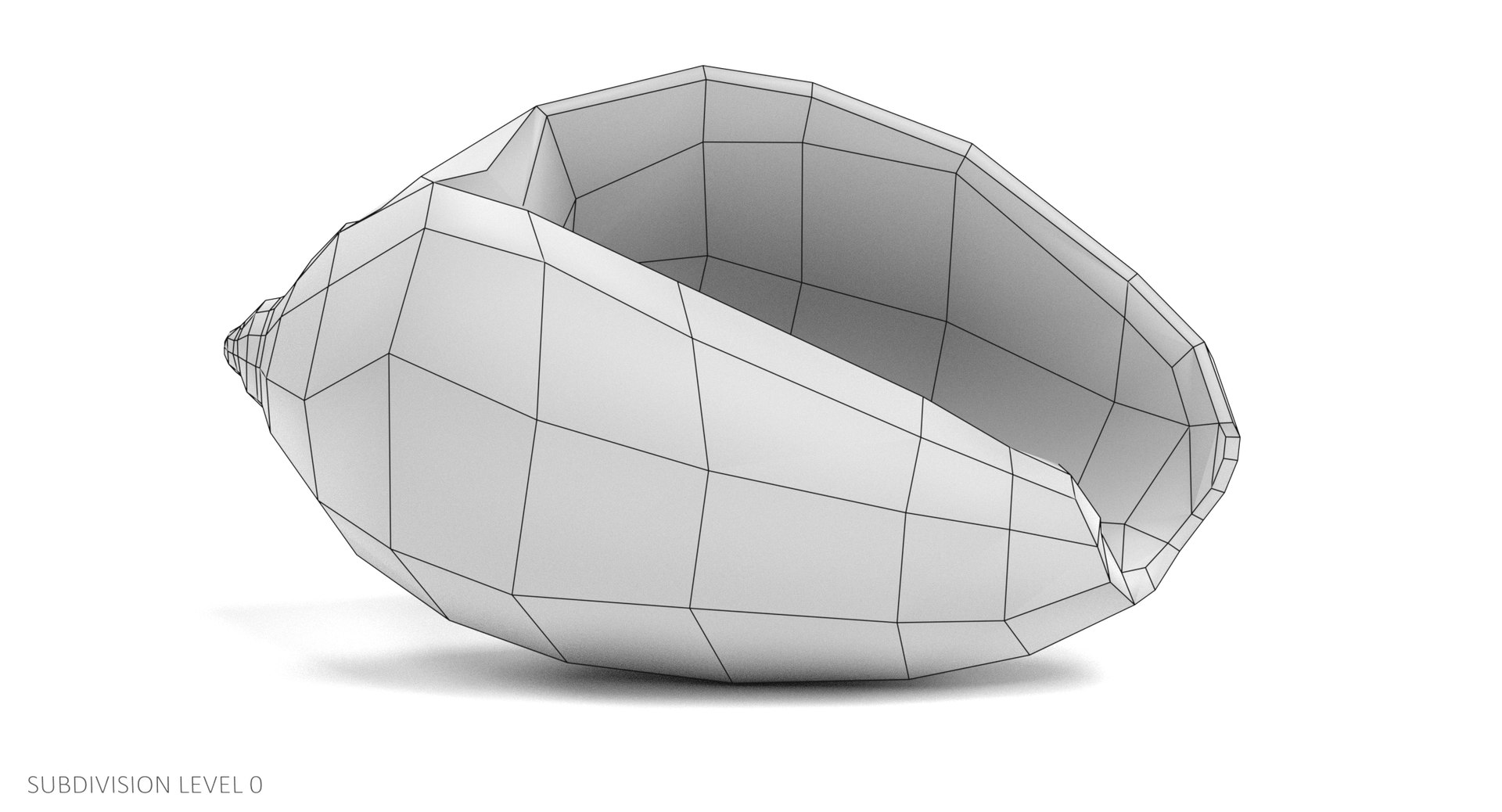Seashell Pbr 3D - TurboSquid 1229500