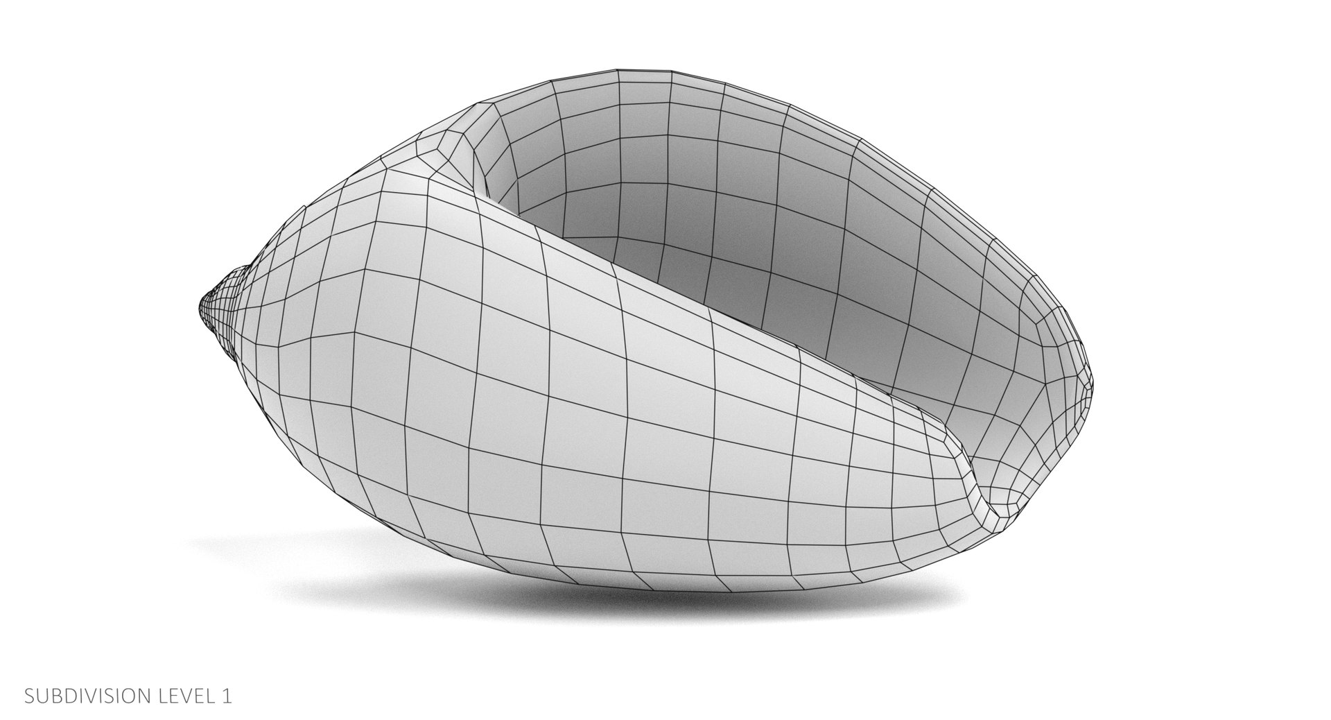 Seashell Pbr 3D - TurboSquid 1229500