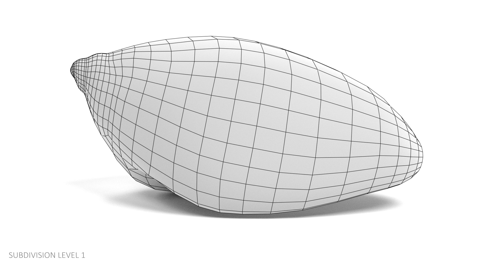 Seashell Pbr 3D - TurboSquid 1229500