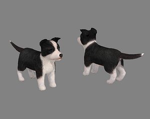 3D Cartoon pet puppy - Bianmu - baby dog model
