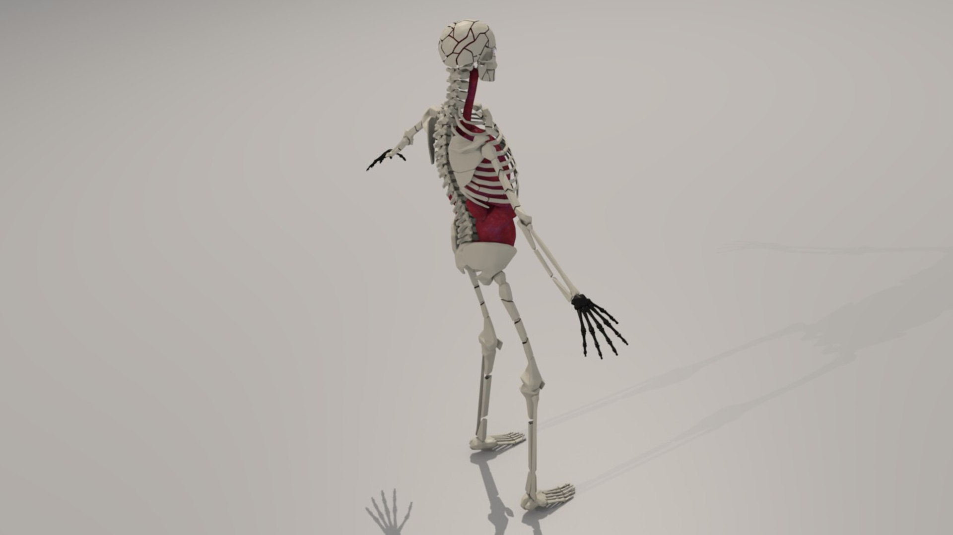 hq character 3d model https://p.turbosquid.com/ts-thumb/3v/88wnOy/SyVTxUGM/backrender/jpg/1394566746/1920x1080/fit_q87/1fe4e07316c92b51d98a77620e8d26af4437e656/backrender.jpg