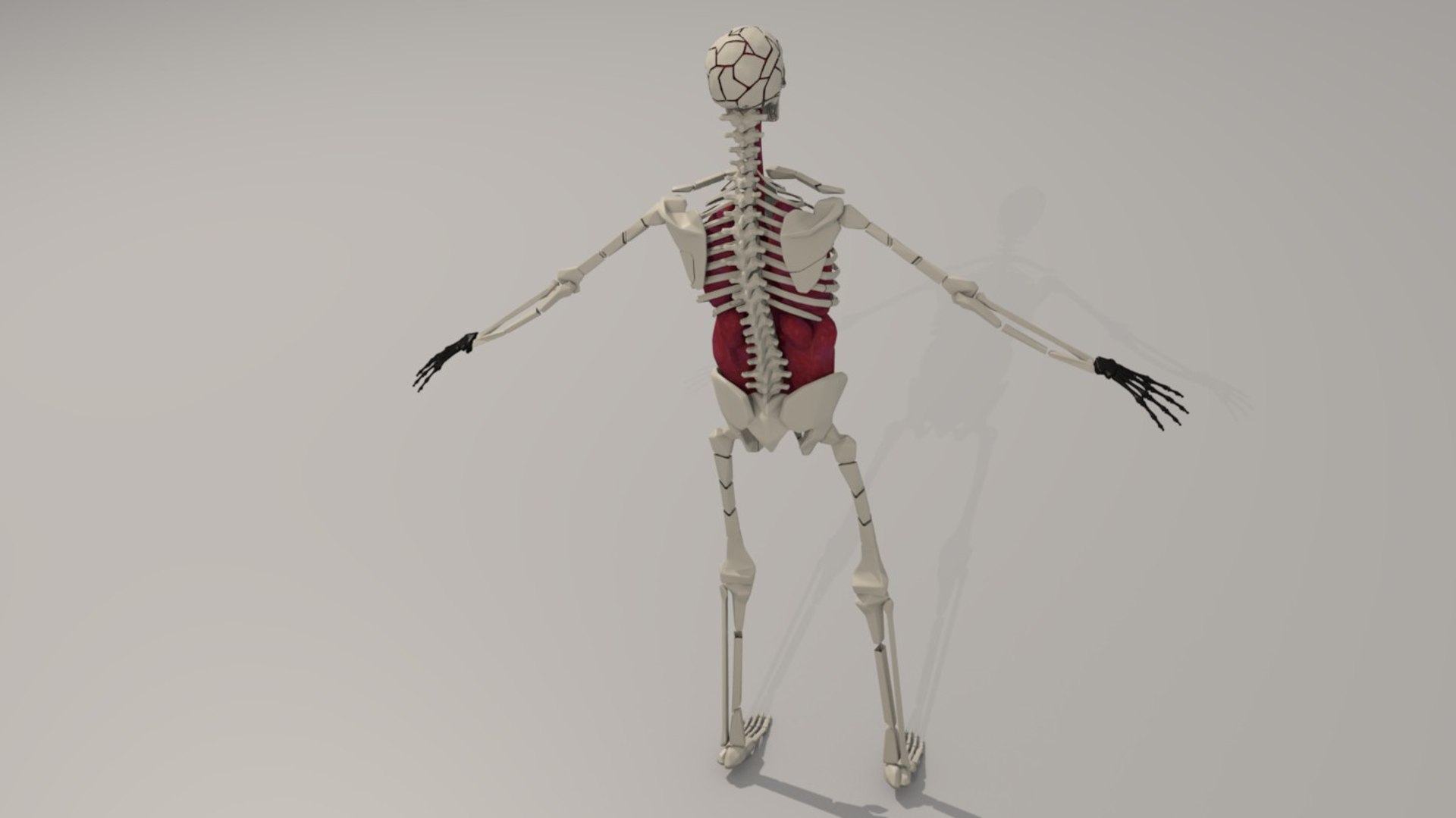 hq character 3d model https://p.turbosquid.com/ts-thumb/3v/88wnOy/ncrhsYey/backrender2/jpg/1394566746/1920x1080/fit_q87/8e4f0f39e88c93fc02d16b4a592fcaf2f7653ec6/backrender2.jpg