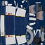 Boeing 737-700 with Interior Ryanair Rigged 3D Model