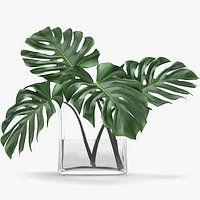 Monstera Leaves 009