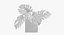 Monstera Leaves 009